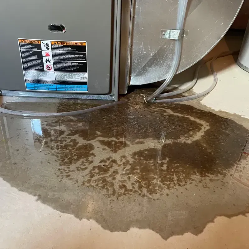 Appliance Leak Cleanup in Crow Wing County, MN